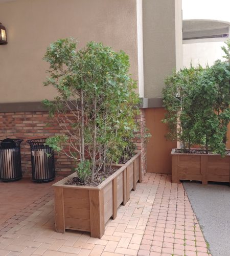 KakaoTalk_20250527_161427750_03
